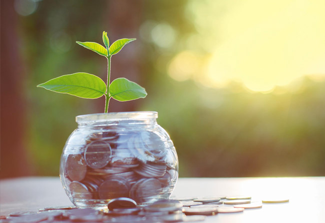 Rebates/Financing - jar full of change in the sunlight, with a plant growing inside. Rebates/Financing Image